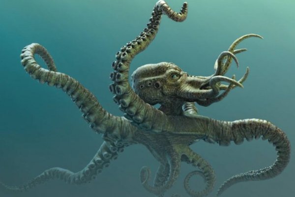 Kraken сайт даркнет