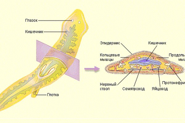 Официальный сайт кракен тор