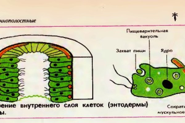 Кракен даркнет маркет плейс