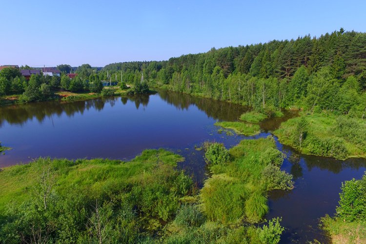 Кракен лег